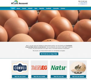Nieuwe website groothandel eieren en eiproducten